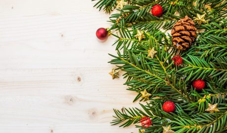 Jakie drzewko świąteczne wybrać do domu i mieszkania?