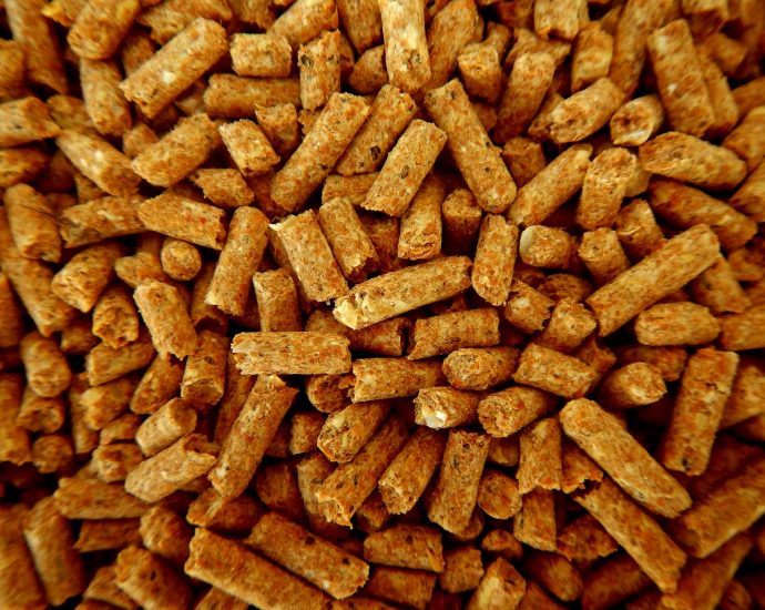 Postaw na różnorodność smaków pelletów wędkarskich